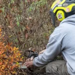 Shrub Removal & Trimming