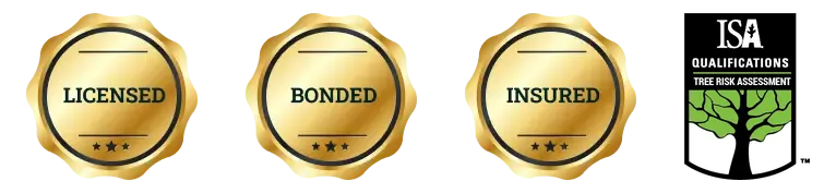 Licensed - Bonded - Insured - ISA TRAQ